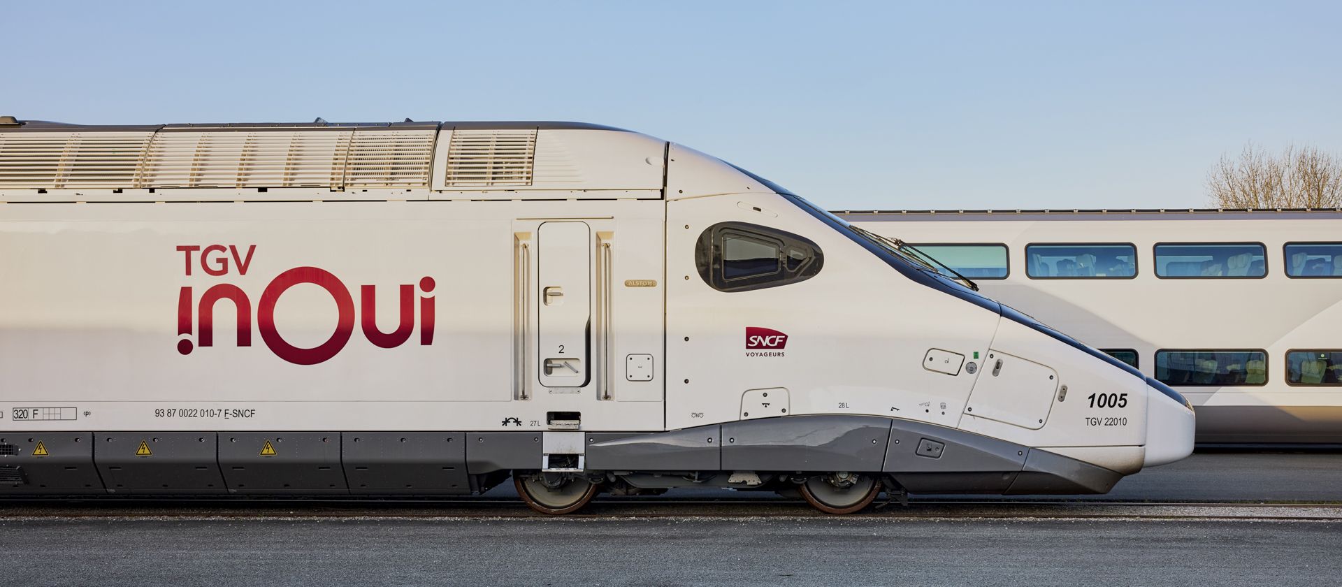 至秦（呼和浩特）品牌管理有限公司